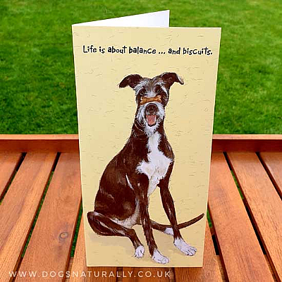 Biscuit Fun Dog Greetings Card